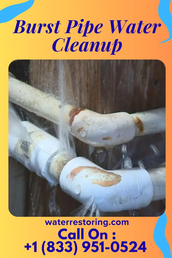 Burst Pipe Water Cleanup in Bonduel, WI