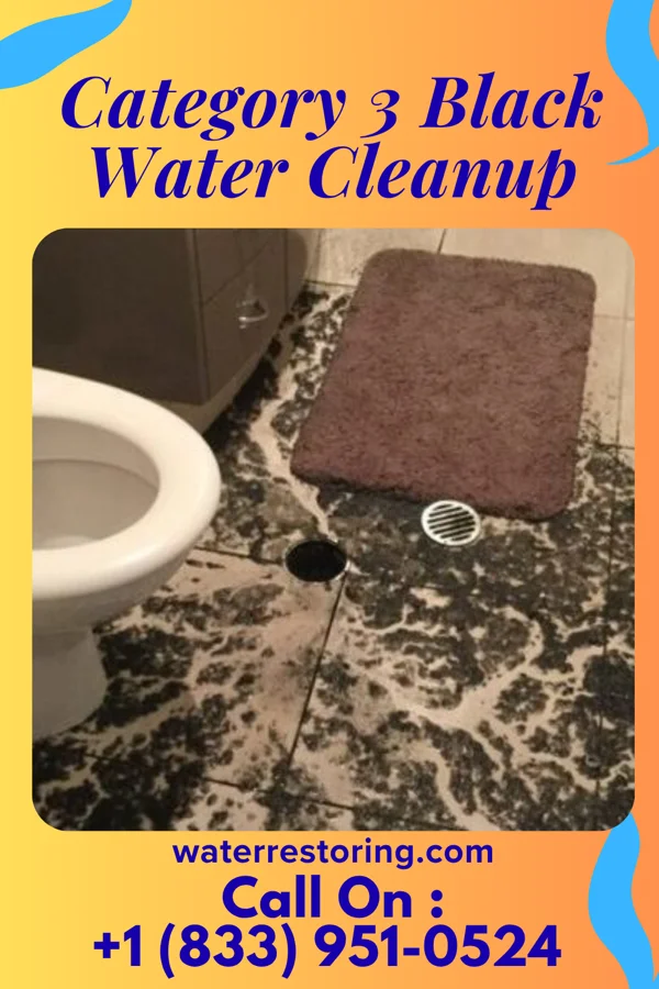 Category 3 Black Water Cleanup in Bonduel, WI