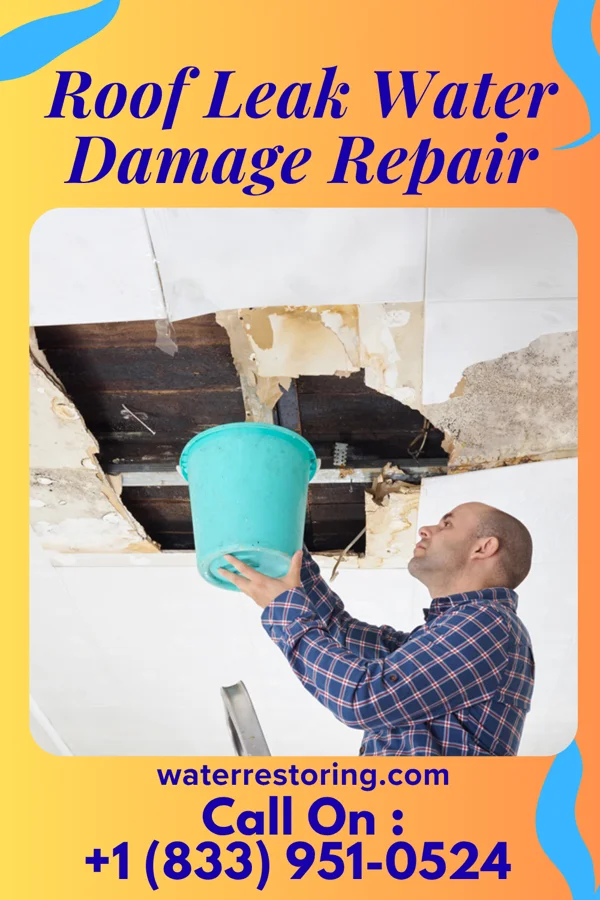 Roof Leak Water Damage Repair in Bonduel, WI