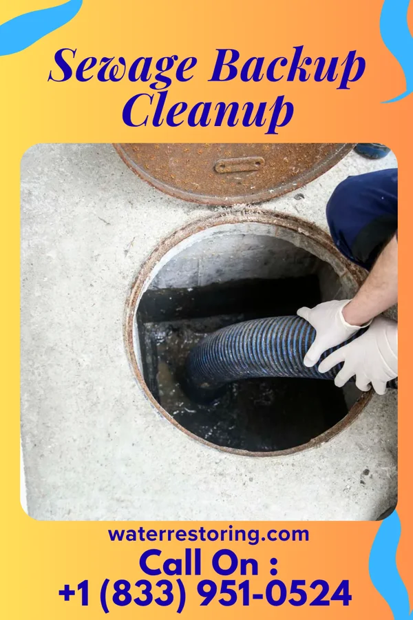 Sewage Backup Cleanup in Bonduel, WI