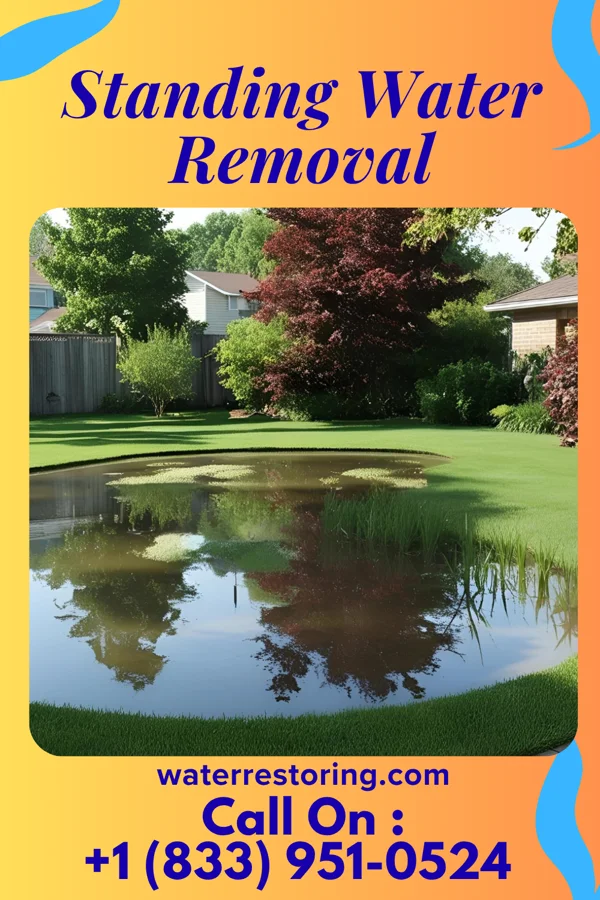 Standing Water Removal in Bonduel, WI